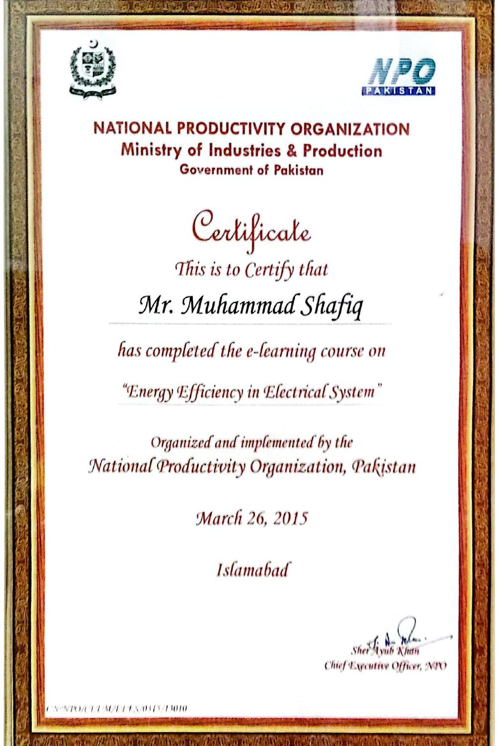 National Productivity Organization certificate — Energy Efficiency in Electrical System